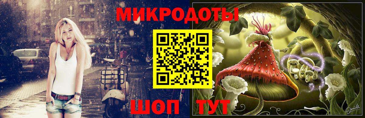 Галлюциногенные грибы Psilocybe Калач-на-Дону